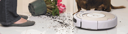 iRobot